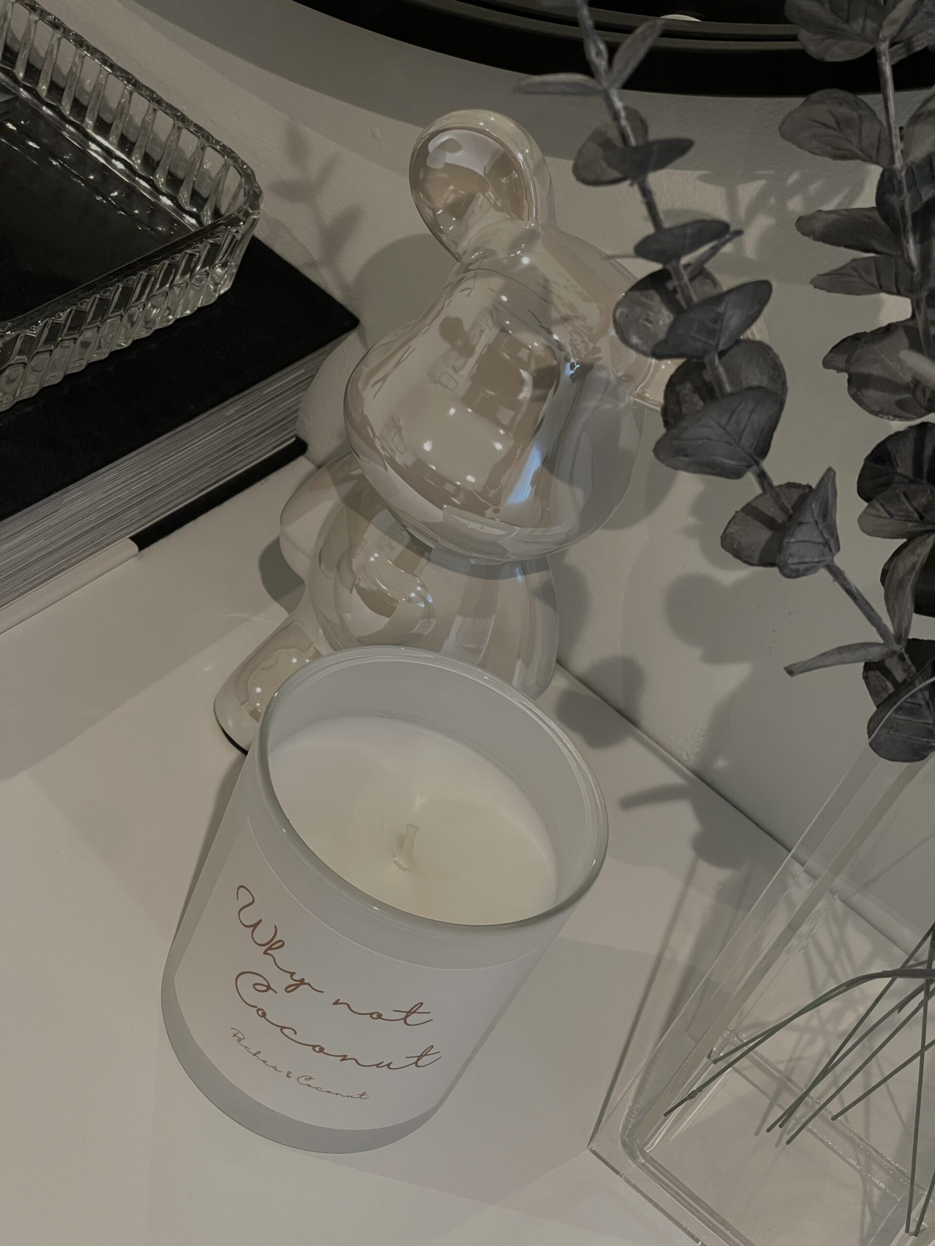 WHY NOT COCONUT – Image 2